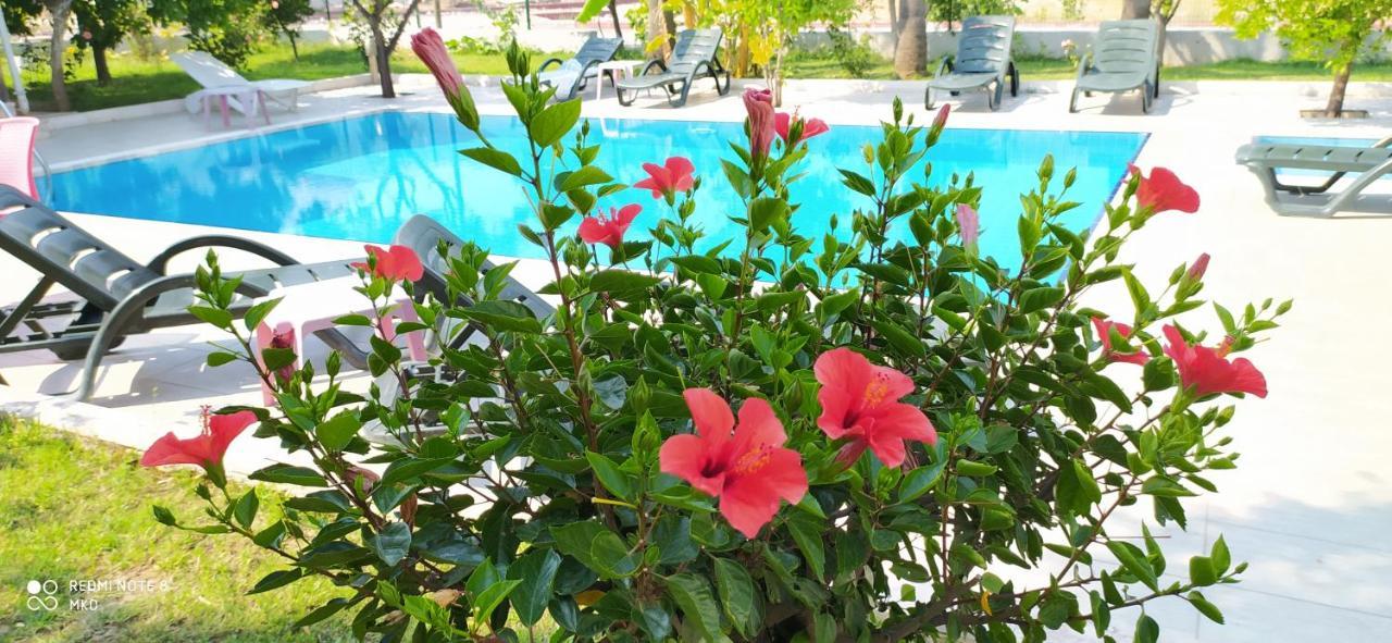 קמר Green Garden Otel מראה חיצוני תמונה
