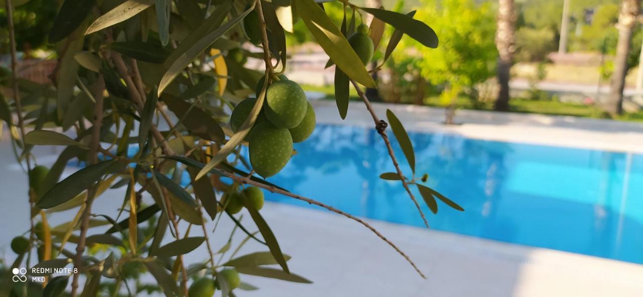 קמר Green Garden Otel מראה חיצוני תמונה