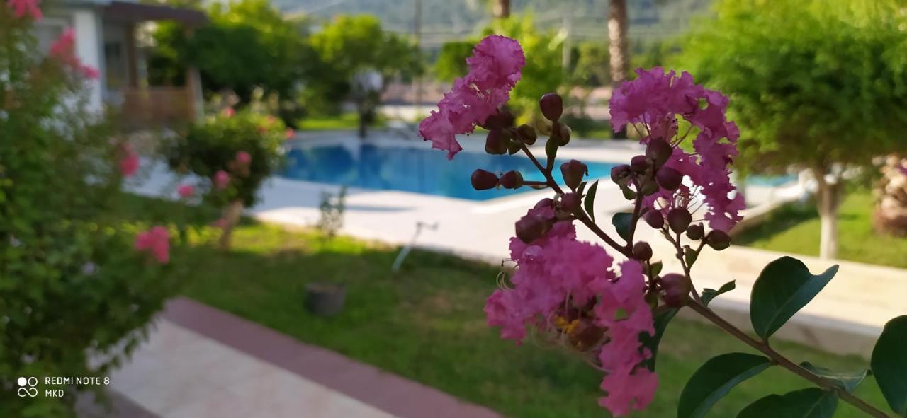קמר Green Garden Otel מראה חיצוני תמונה