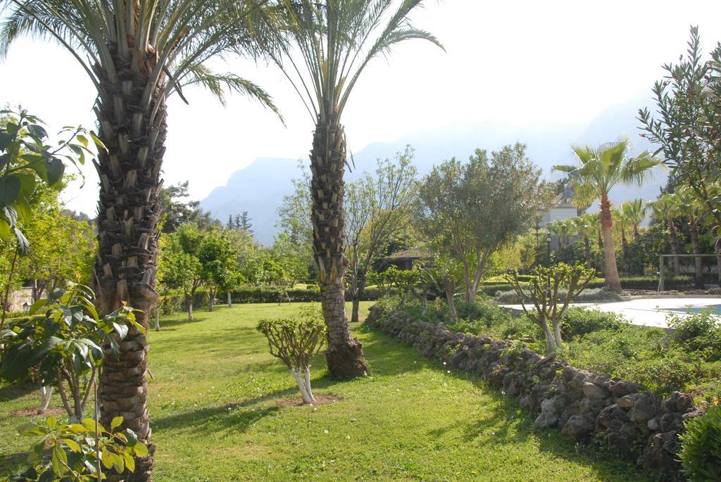 קמר Green Garden Otel מראה חיצוני תמונה