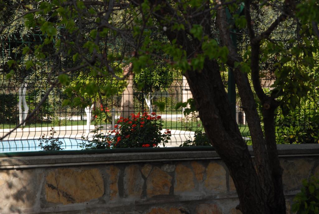 קמר Green Garden Otel מראה חיצוני תמונה
