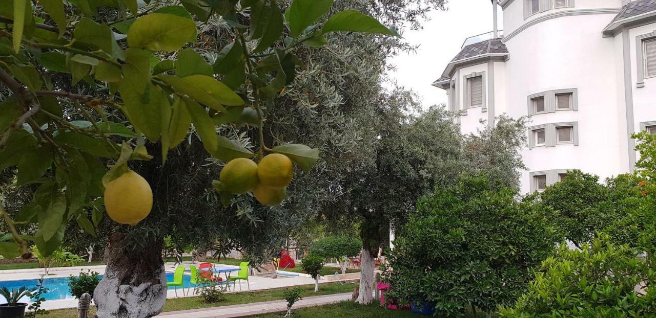 קמר Green Garden Otel מראה חיצוני תמונה